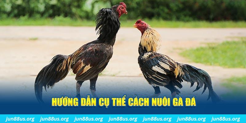 ok 9 đăng nhập sòng bạc số 1